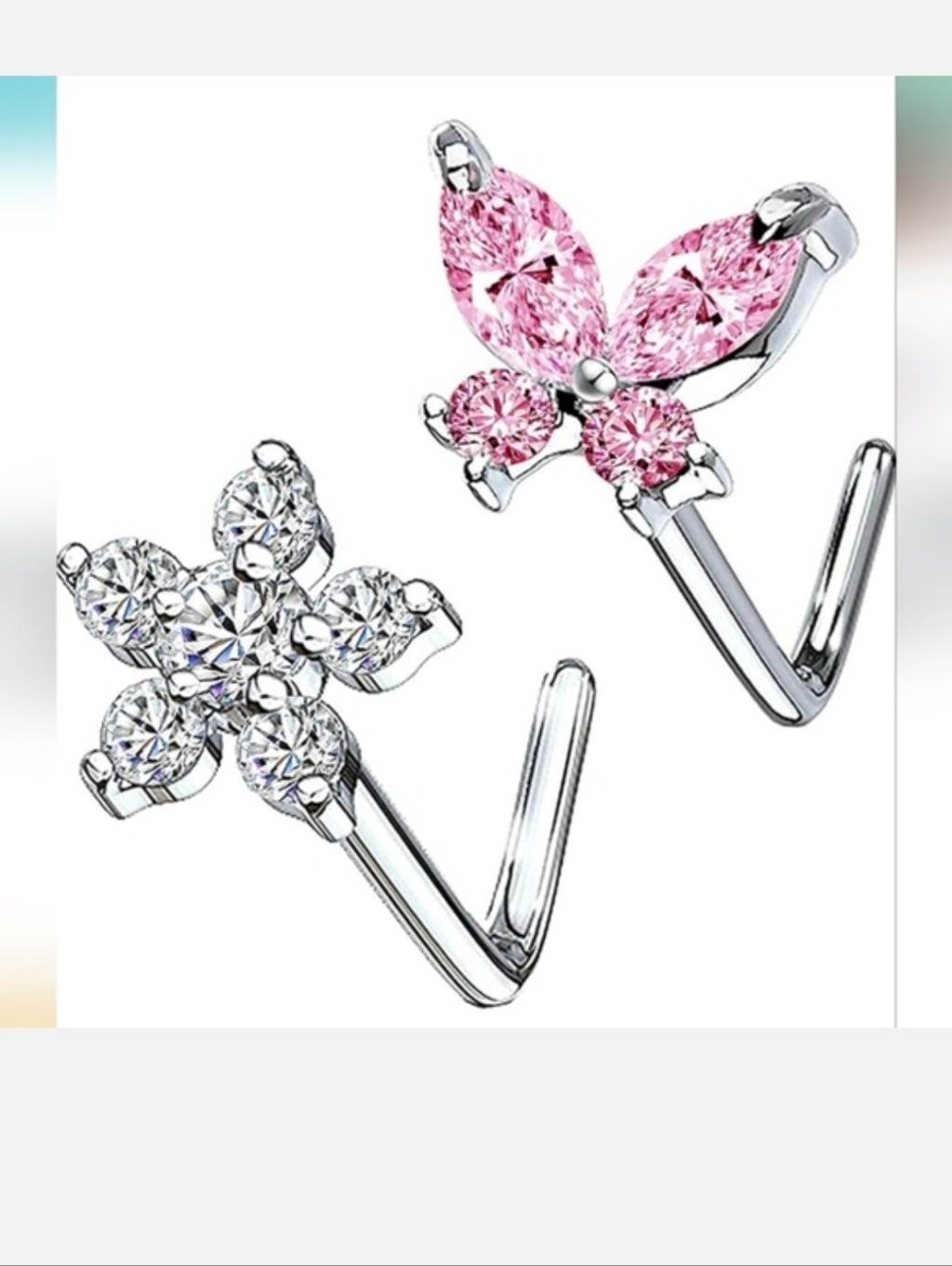 2 Nose Rings